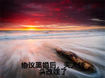 协议离婚后，夫人转头改嫁了最新章节（沈曼薄司言）全文免费阅读无弹窗大结局_沈曼薄司言协议离婚后，夫人转头改嫁了全文免费阅读