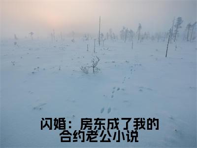 闪婚：房东成了我的合约老公小说全文免费在线阅读大结局_（ 姜栀周晏清免费阅读无弹窗）闪婚：房东成了我的合约老公小说全文免费完结版阅读（ 姜栀周晏清）