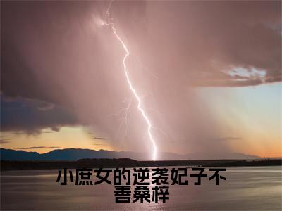 小庶女的逆袭妃子不善桑梓(桑梓)全文免费阅读无弹窗大结局_小庶女的逆袭妃子不善桑梓最新章节列表(桑梓)