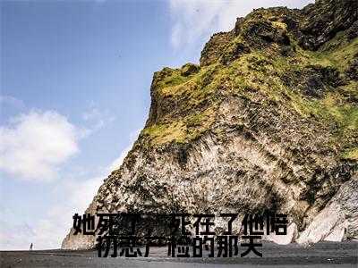叶舒月孟祁川是哪部小说的主角,她死了,死在了他陪初恋产检的那天全文无弹窗完整版阅读