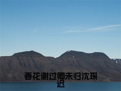 春花谢过卿未归沈琛迟(宋云谣沈琛迟)小说全文无删减版_春花谢过卿未归沈琛迟最新章节列表_笔趣阁(宋云谣沈琛迟)