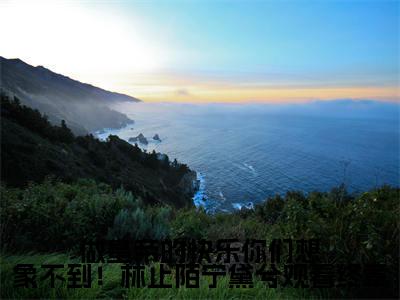 做皇帝的快乐你们想象不到！林止陌宁黛兮观看终章全文免费阅读无弹窗大结局_做皇帝的快乐你们想象不到！林止陌宁黛兮观看终章（ 林止陌宁黛兮）小说结局免费阅读（ 林止陌宁黛兮）