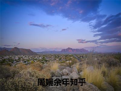 九零：趁邻家姐姐青涩，娶回家！免费小说_ 周婉余年免费最新章节列表_笔趣阁
