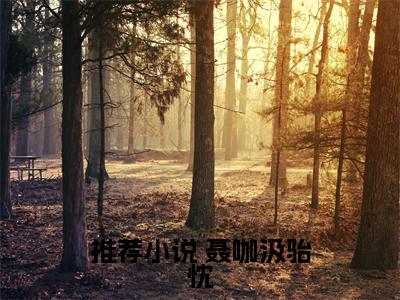 人生表白你拒绝我走小说（ 聂咖汲骀忱）全文免费阅读结局-人生表白你拒绝我走强推全文阅读无弹窗