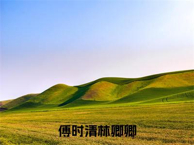傅时清林卿卿(傅时清林卿卿)全文免费阅读_傅时清林卿卿(傅时清林卿卿)章节免费阅读-笔趣阁