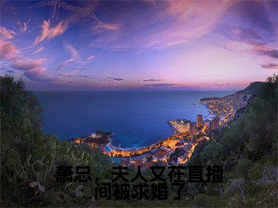 萧云霆叶澜全文免费阅读大结局萧总,夫人又在直播间被求婚了小说最新章节阅读无弹窗