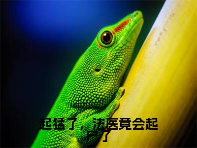 起猛了，法医竟会起尸了（林峰）全文免费阅读无弹窗_（起猛了，法医竟会起尸了小说免费阅读）最新章节列表笔趣阁