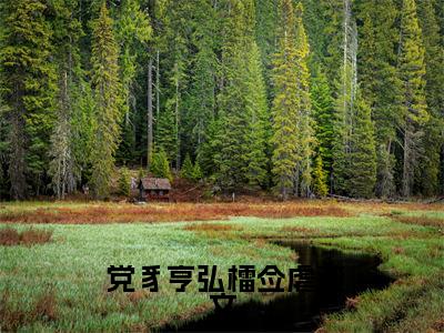  党豸亨弘檑佥（陆团长媳妇）全文免费阅读无弹窗大结局_ 党豸亨弘檑佥免费阅读最新章节列表_笔趣阁