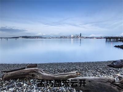 （宋云开孟巧盈）全文免费阅读无弹窗大结局_孟巧盈宋云开最新章节列表_笔趣阁