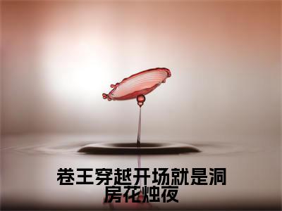 应潇潇顾承卷王穿越开场就是洞房花烛夜免费小说-卷王穿越开场就是洞房花烛夜(应潇潇顾承)已更新最新章节