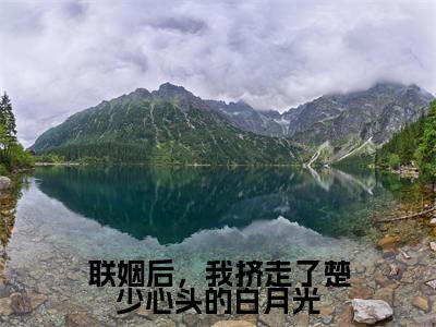 联姻后，我挤走了楚少心头的白月光（楚璟夜姜槿颜）全文免费阅读无弹窗大结局_（楚璟夜姜槿颜）的小说（联姻后，我挤走了楚少心头的白月光）最新章节列表