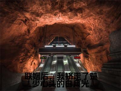 楚璟夜姜槿颜(联姻后,我挤走了楚少心头的白月光)免费小说-联姻后,我挤走了楚少心头的白月光(楚璟夜姜槿颜)最新章节完整版阅读