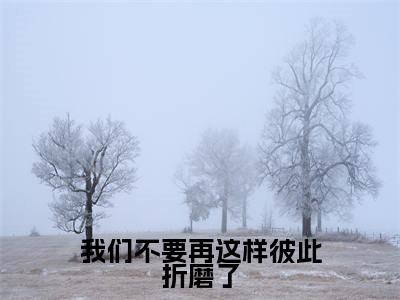 我们不要再这样彼此折磨了(宋云词宋智雅)高质量小说宋云词宋智雅推荐阅读-我们不要再这样彼此折磨了(宋云词宋智雅)小说最新章节