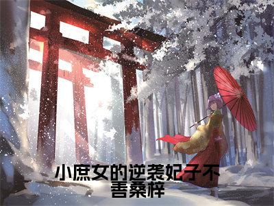 小庶女的逆袭妃子不善桑梓是什么小说-(桑梓)小庶女的逆袭妃子不善桑梓无弹窗免费阅读大结局最新章节列表_笔趣阁