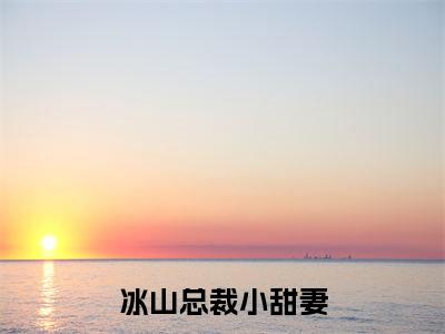 主角是陆文野杜翎沁的小说-冰山总裁小甜妻全章节在线阅读
