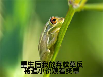 重生后我放弃校草反被追小说观看终章（ 迟域苏迦妮）小说全文免费阅读完整版-重生后我放弃校草反被追小说观看终章免费在线阅读大结局（ 迟域苏迦妮）