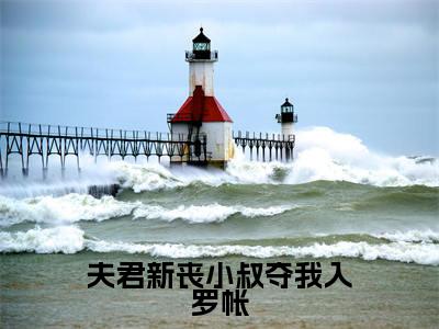 夫君新丧小叔夺我入罗帐(江琯清叶寒峥)无弹窗小说免费阅读_夫君新丧小叔夺我入罗帐最新章节免费阅读_笔趣阁