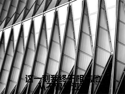 白芸沈言慕（这一刻我终于相信他从不曾爱过我）全文免费阅读无弹窗大结局_这一刻我终于相信他从不曾爱过我最新章节列表（白芸沈言慕）