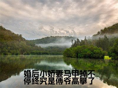 傅寒晏沈九音(婚后小娇妻马甲掉不停终究是傅爷高攀了)独家首发免费小说-(傅寒晏沈九音)婚后小娇妻马甲掉不停终究是傅爷高攀了小说全文在线阅读笔趣阁