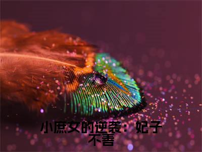 桑梓小说(小庶女的逆袭:妃子不善)完整版小说阅读_桑梓全本列表免费笔趣阁