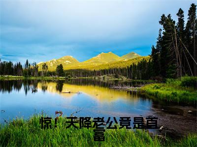 惊！天降老公竟是首富（许南歌霍北宴）全文免费阅读无弹窗大结局_（许南歌霍北宴阅读无弹窗）惊！天降老公竟是首富小说_笔趣阁