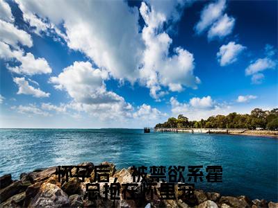 怀孕后,被禁欲系霍总抱在怀里宠小说(霍见深宋西棠)全文免费阅读无弹窗_怀孕后,被禁欲系霍总抱在怀里宠小说最新章节免费阅读_笔趣阁(霍见深宋西棠)