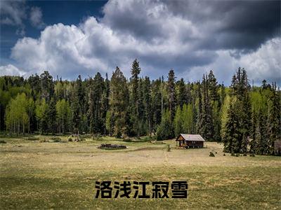 洛浅江寂雪阅读无弹窗大结局_洛浅江寂雪穿越小说免费阅读_笔趣阁