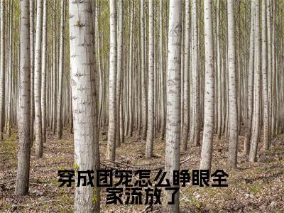 穿成团宠怎么睁眼全家流放了(幺宝苏秀)全文免费阅读无弹窗_(幺宝苏秀)穿成团宠怎么睁眼全家流放了最新章节列表