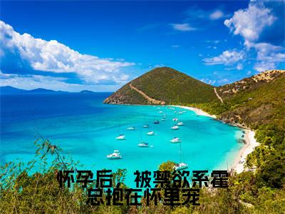 怀孕后,被禁欲系霍总抱在怀里宠(霍见深宋西棠)全文免费阅读无弹窗大结局_怀孕后,被禁欲系霍总抱在怀里宠在线阅读笔趣阁(霍见深宋西棠)