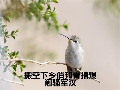 顾雨秦朝阳（搬空下乡俏知青撩爆闷骚军汉）全文免费阅读无弹窗大结局_顾雨秦朝阳搬空下乡俏知青撩爆闷骚军汉_笔趣阁