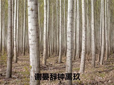 谢晏辞钟离玖(钟离玖谢晏辞)小说全文免费阅读无弹窗大结局_(谢晏辞钟离玖全文免费阅读)钟离玖谢晏辞最新章节列表