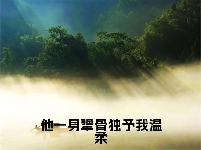 他一身犟骨独予我温柔(沈如周骋)全文免费阅读无弹窗_他一身犟骨独予我温柔完整版最新阅读_笔趣阁(沈如周骋)