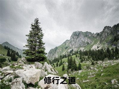 修行之道(王蒙)全集免费阅读无弹窗_修行之道正版小说免费阅读