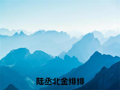 金绯绯陆丞北（陆丞北金绯绯）全文免费阅读无弹窗大结局_陆丞北金绯绯最新章节列表_笔趣阁（金绯绯陆丞北）