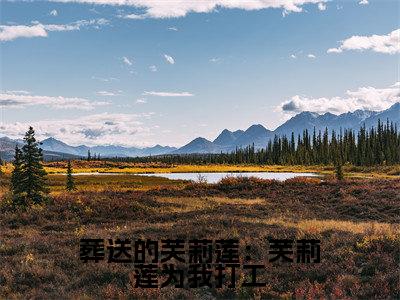 甘道夫（葬送的芙莉莲：芙莉莲为我打工）全文免费阅读_（甘道夫）葬送的芙莉莲：芙莉莲为我打工最新章节小说免费阅读_笔趣阁
