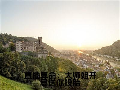 言倾全文免费阅读-直播算命:大师姐开局送你投胎最新章节小说免费阅读