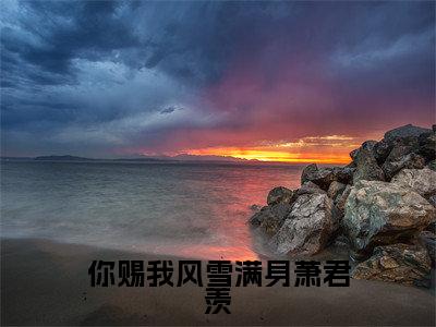 唐鸢萧君羡(你赐我风雪满身萧君羡)在线阅读的小说完整版-你赐我风雪满身萧君羡(唐鸢萧君羡)小说免费阅读