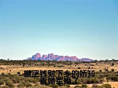 姜温婉的小说免费阅读（搬空钱财下乡的娇知青她军婚了的小说免费阅读）全文完整版免费阅读