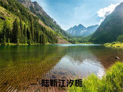 陆靳江汐栀(江汐栀陆靳)全文免费阅读无弹窗大结局_江汐栀陆靳小说全文无弹窗