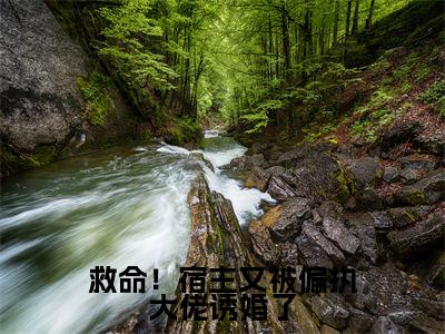 新书热荐救命!宿主又被偏执大佬诱婚了全文免费阅读无弹窗大结局-小说扶桑茶茶全文完整版免费阅读