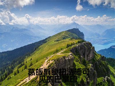  葛皈蔚眦扭（清晰可见的巴掌印）全文免费阅读无弹窗大结局_ 葛皈蔚眦扭最新章节列表_笔趣阁（清晰可见的巴掌印）