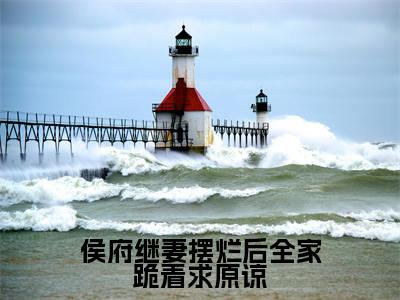 侯府继妻摆烂后全家跪着求原谅(太叔瑱谢婉瑜)小说全文免费读无弹窗大结局_侯府继妻摆烂后全家跪着求原谅小说章节试读最新章节列表笔趣阁