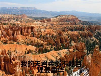 我的夫君柔弱不能自理姜重华(月般般姜重华)全文免费阅读_我的夫君柔弱不能自理姜重华最新章节列表言情小说在线阅读