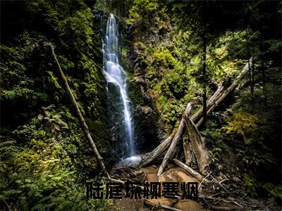 陆庭琛柳寒烟(柳寒烟陆庭琛)全文免费阅读无弹窗大结局_陆庭琛柳寒烟在线阅读笔趣阁