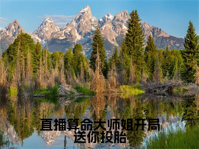 言倾（言倾）小说全文免费阅读正版无弹窗_直播算命大师姐开局送你投胎小说免费阅读全文无弹窗_笔趣阁
