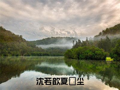 夏玦尘沈若歆（沈若歆夏玦尘）小说全文无删减版完整版_夏玦尘沈若歆最新章节列表_笔趣阁
