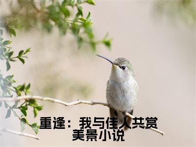  梁书媞程清玙小说全文（重逢：我与佳人共赏美景）在线阅读- 梁书媞程清玙全文免费阅读无弹窗大结局