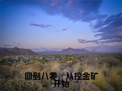 回到八零,从挖金矿开始全文免费阅读_(赵文多小说)回到八零,从挖金矿开始言情小说在线阅读笔趣阁(赵文多)
