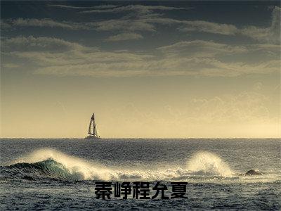 程允夏秦峥(秦峥程允夏)是什么小说_主角是(程允夏秦峥)的小说(秦峥程允夏)最新章节无弹窗阅读