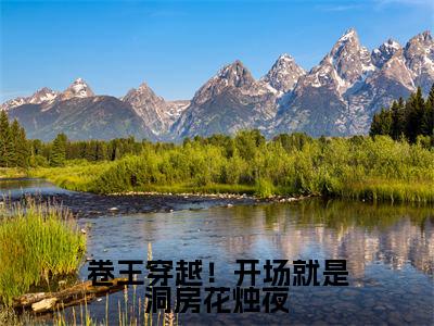 卷王穿越!开场就是洞房花烛夜小说免费阅读应潇潇顾承免费阅读无弹窗小说